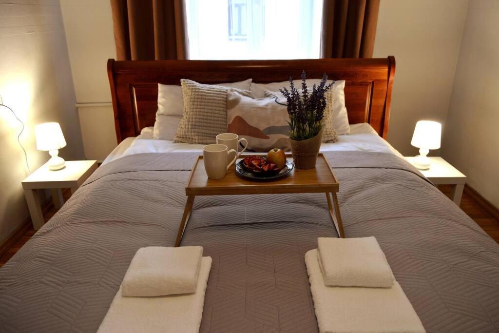 Unique Spacious Classic 3 Bedroom Midtown Apartment ! Billiard Room ! リガ エクステリア 写真